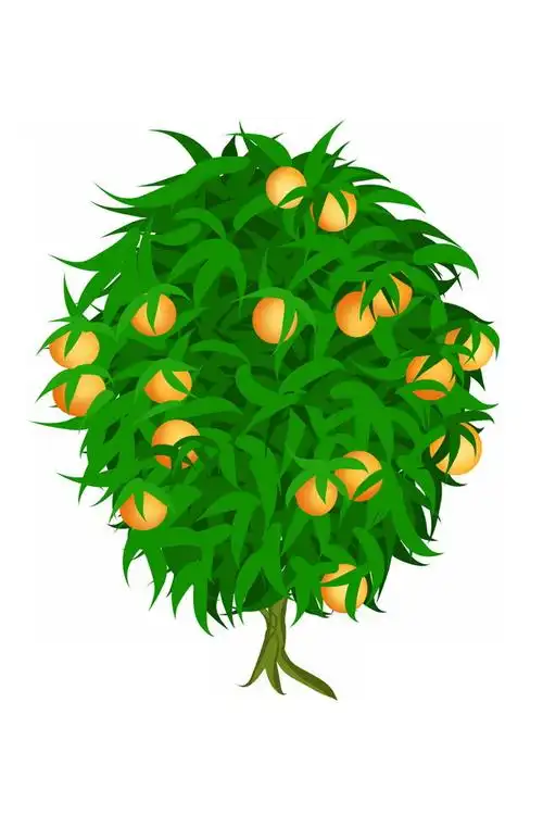 您可以直接将png图片应用到自己的设计作品中,同时我们还提供卡通果树