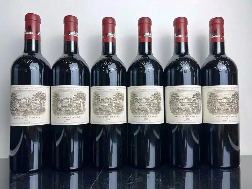 罗斯柴尔德拉菲 #2020年 - 抖音