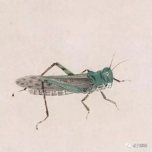 齐白石《蚱蜢》全集