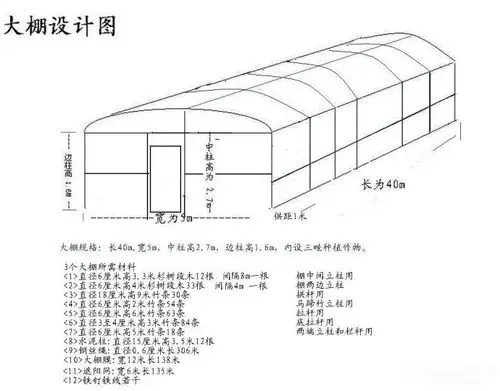大棚设计图