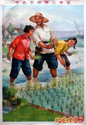 五十年代年画珍品收藏(1)