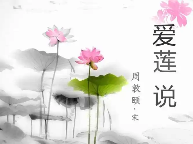 讲解爱莲说ppt课件
