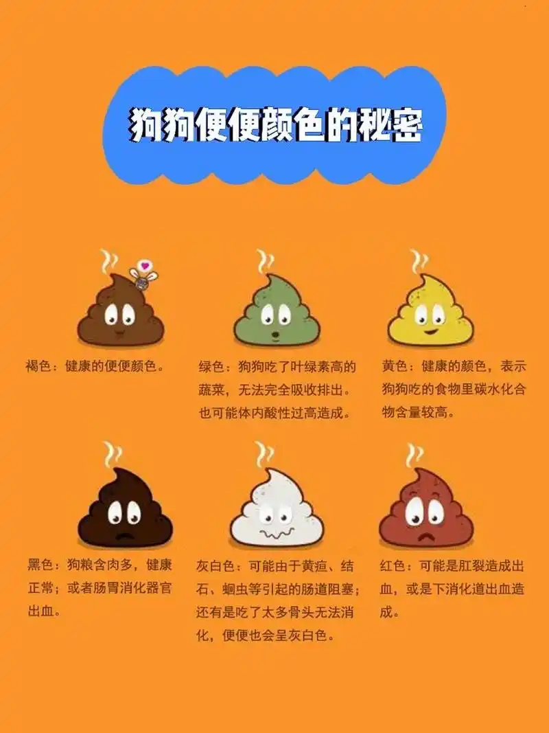 狗狗便便颜色的秘密: 褐色:健康的便便颜色; 绿色:狗狗吃了叶绿素高