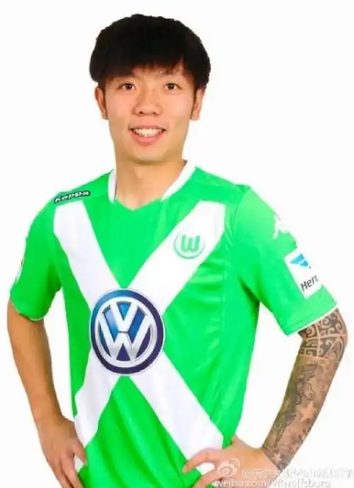 张稀哲国家队隐身之谜数次成为国足主教练下课催化"剂"