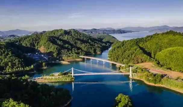 新安江水库两大难鲢鳙放养60多年保水鱼究竟保住了啥