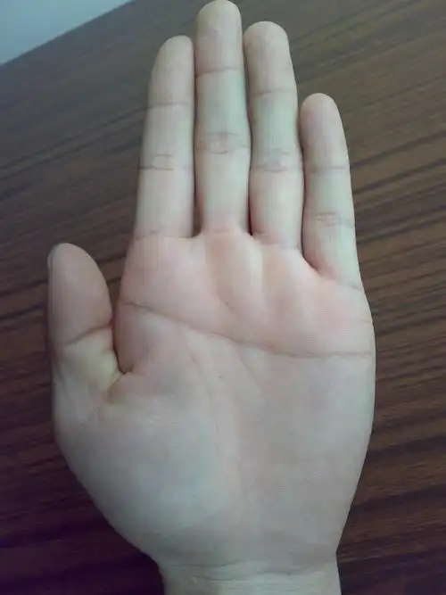 网为您揭秘女人断掌