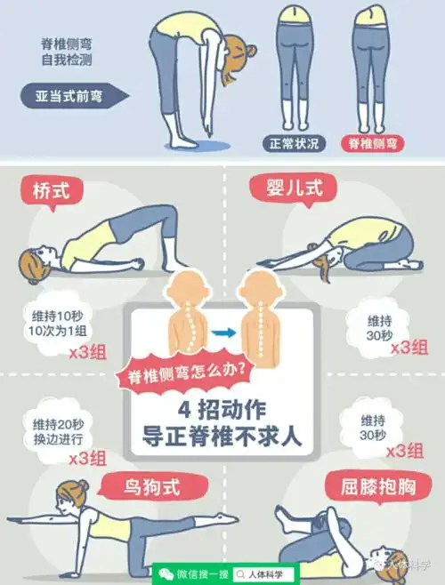 【体态管理】腰椎康复锻炼示范动作.