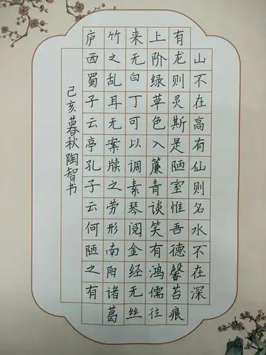 杯"全国硬笔书法大赛暨青少年规范汉字书写大赛学生组参赛作品欣赏