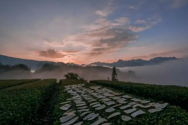 土家族的冬晨摄于宜昌五峰