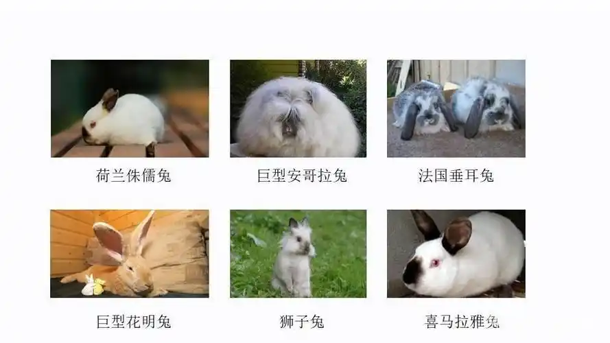 小兔子乖乖>>--涂鸦a班