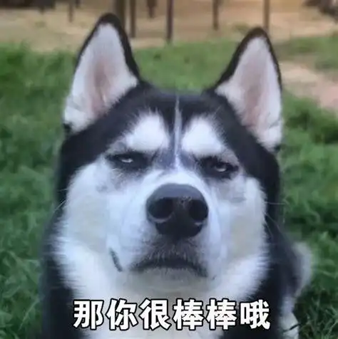 哈士奇图片搞笑表情包抖音哈士奇狗头表情包2022已更新今日热点