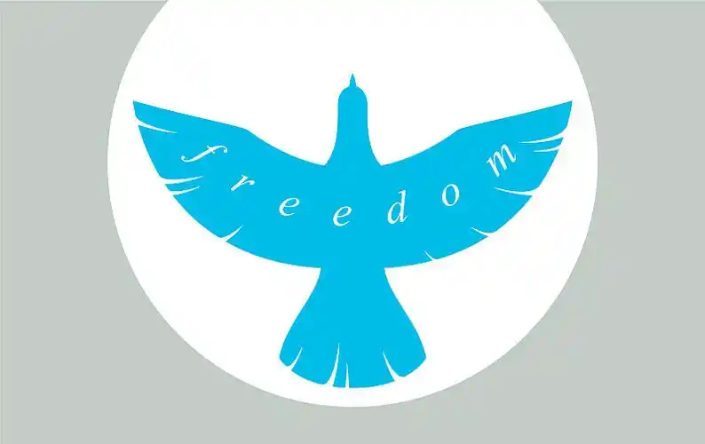 小鸟飞向天空的自由概念海报图片