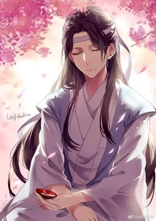 「魔道祖师」整理——蓝忘机的"滚"与魏无羡的"滚"_网易订阅