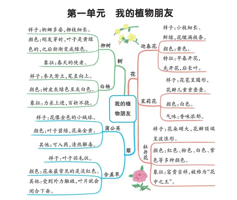 三年级下册习作思维导图.植物的朋友#作文素材 三下习作思维导 - 抖音