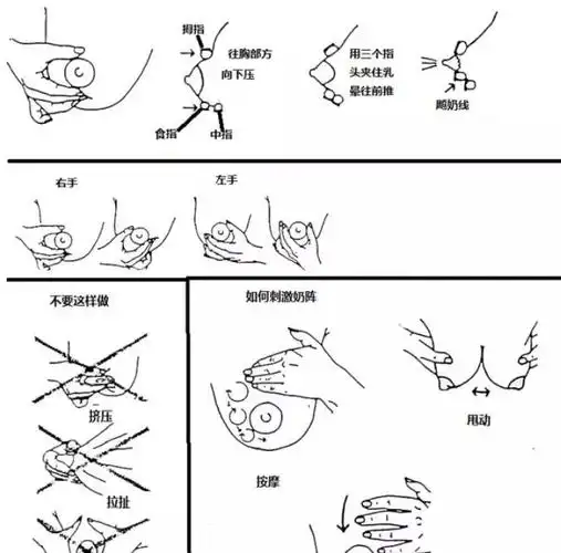 不用肥皂,浴液,酒精,消毒纸巾清洁2,按摩乳房从乳房根部到乳头画圈