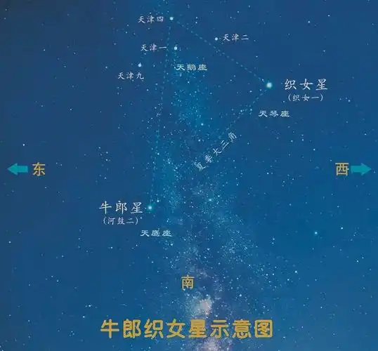 七夕来了你能指出牛郎织女星在哪里吗