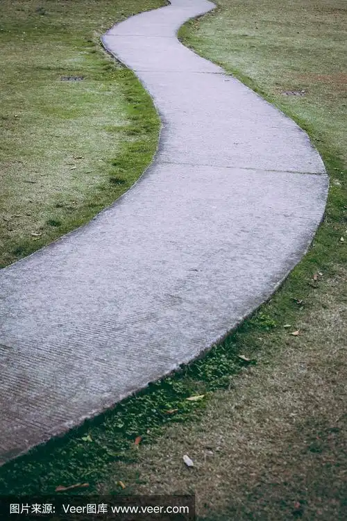 草原上蜿蜒的小径