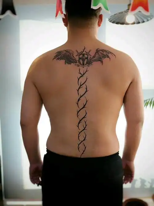 康纳麦格雷戈后背