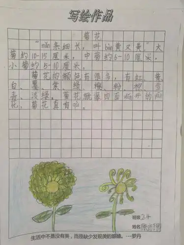 课程来提升孩子们的观察能力,感受能力,写绘能力,让孩子对菊花感兴趣