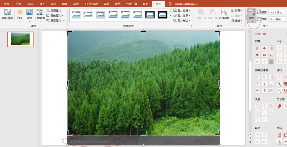 以上就是今天说的,ppt搜图的正确打开方式啦,但愿能让你有所收获.