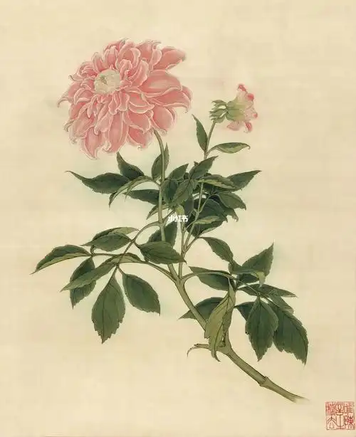 近现代于非闇大丽花