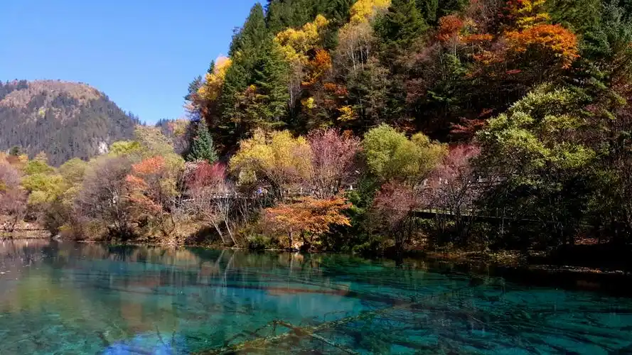 九寨沟秋天美景.2016年11月1日拍摄.(地震前)