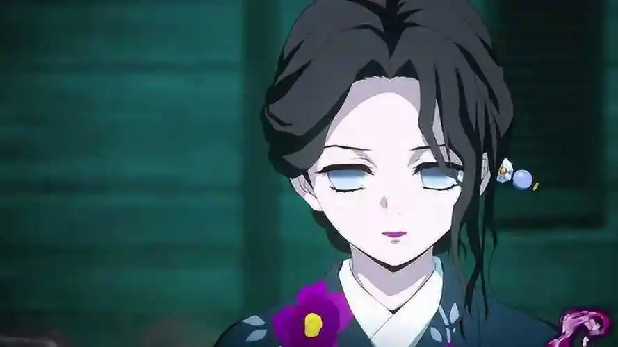 鬼灭之刃当你在凝视着珠世时愈史郎也在凝视你