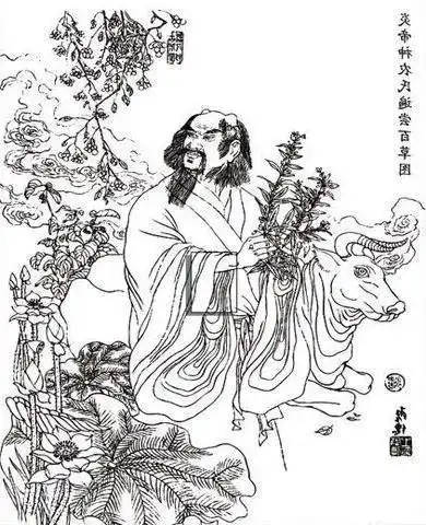 民间故事:神母狗父|风俗|代兄|神农_网易订阅