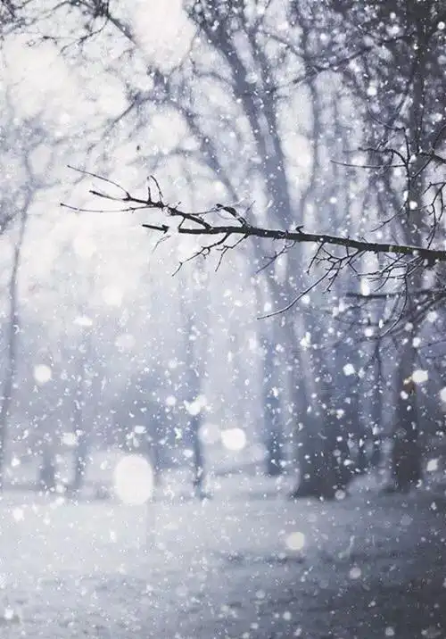 奏响飘雪的冬日