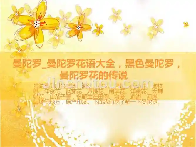 曼陀罗曼陀罗花语大全黑色曼陀罗曼陀罗花的传说