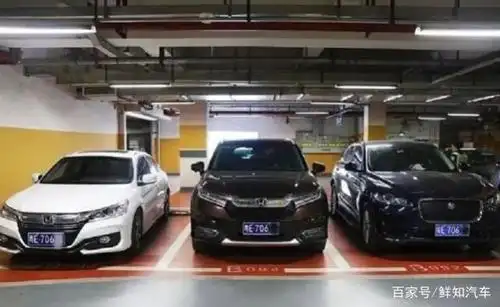 套牌最"高"境界!三辆车并排停放,车牌完全一样