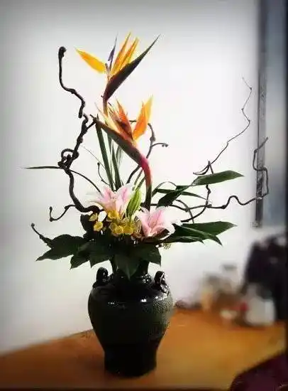 东方插花三大原则,构图表现形式和十三要诀