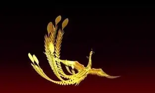 女孩头顶凤凰旋命理说法