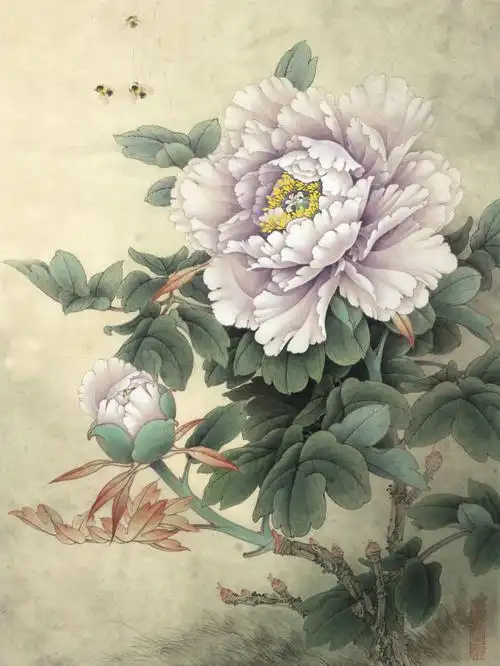 染色步骤77白描图纸国画牡丹花466