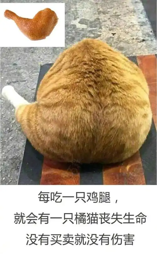 每吃一只鸡腿,就会有一只橘猫丧失生命没有买卖就没有伤害 - 没有买卖