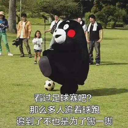 看过足球赛吧?