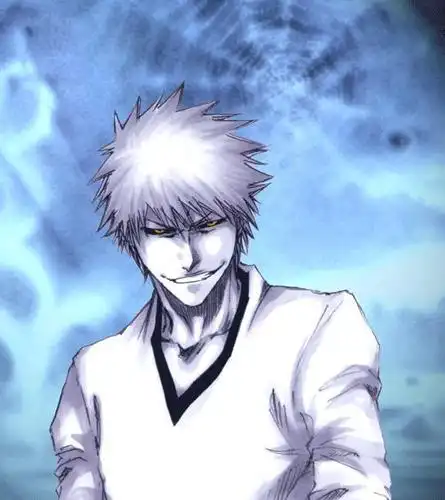 求几张死神黑崎一护办虚化和白黑崎一护的图片,谢谢啦