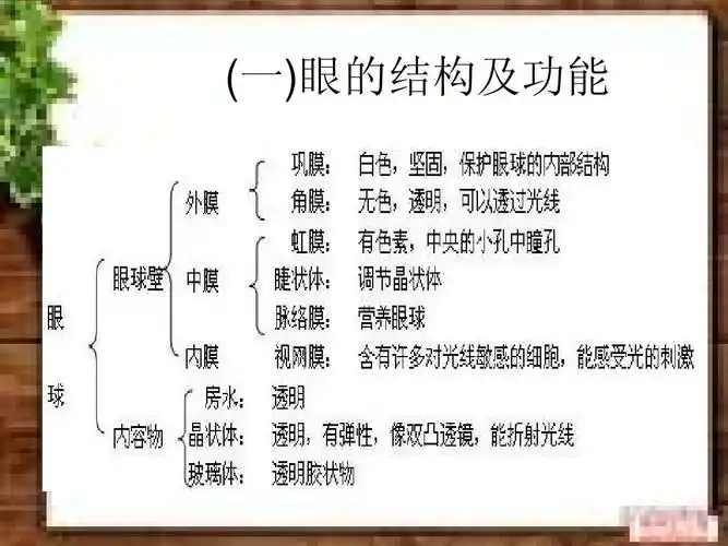 北师大版初一下册生物 人体神经调节ppt课件