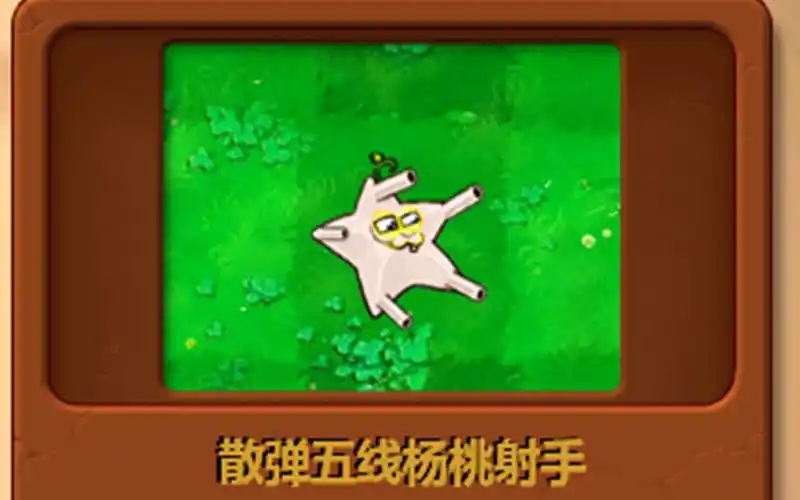 新植物:散弹五线杨桃射手_哔哩哔哩bilibili_植物大战僵尸