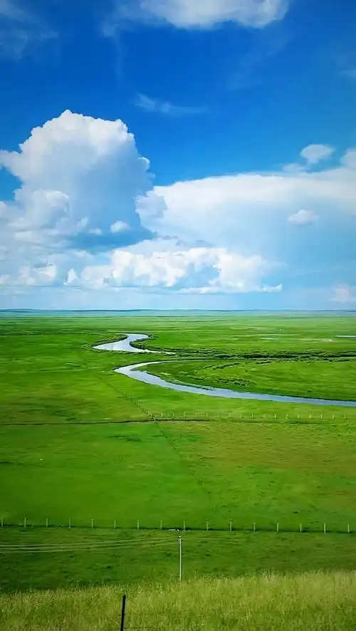 呼伦贝尔草原每一帧都是壁纸