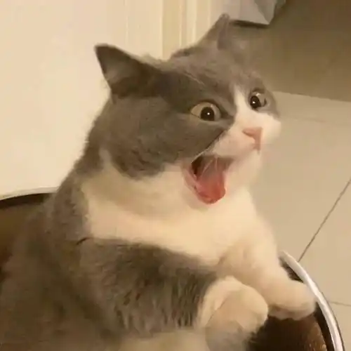 头像| 一组"人见人爱"的微信头像(2.8)_前路_结局_治愈