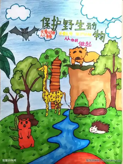 保护野生动物绘画作品