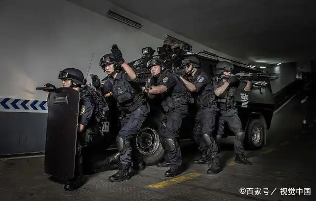 国际刑警组织有哪些权利,主要干什么?