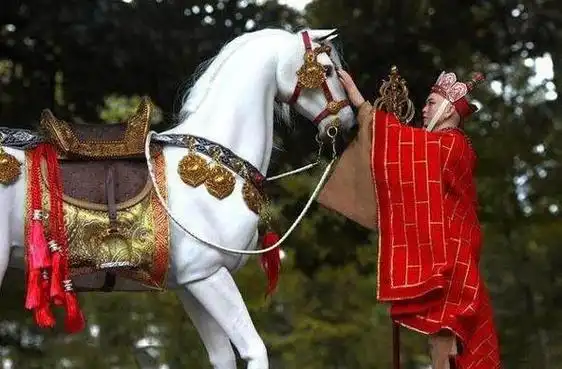 西游记白龙马拍完戏后惨死马棚杨洁泪目背后是人性的丑陋