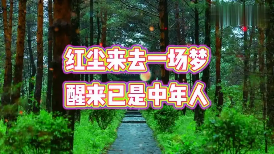 情感语录红尘来去一场梦醒来已是中年人