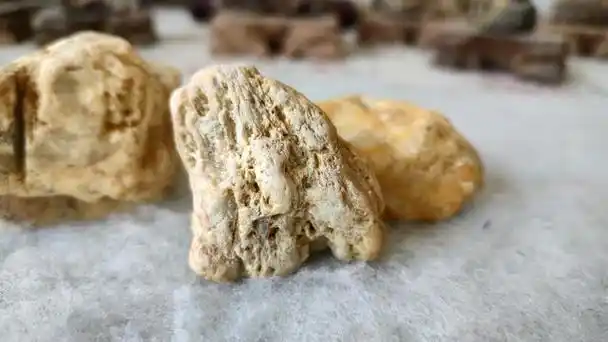 关于木化石,我有两类,一类是长得真的像木桩的那种,另一种则是本文中