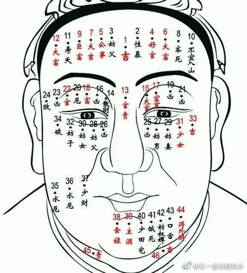 k收起 f         m向左旋转 n向右旋转