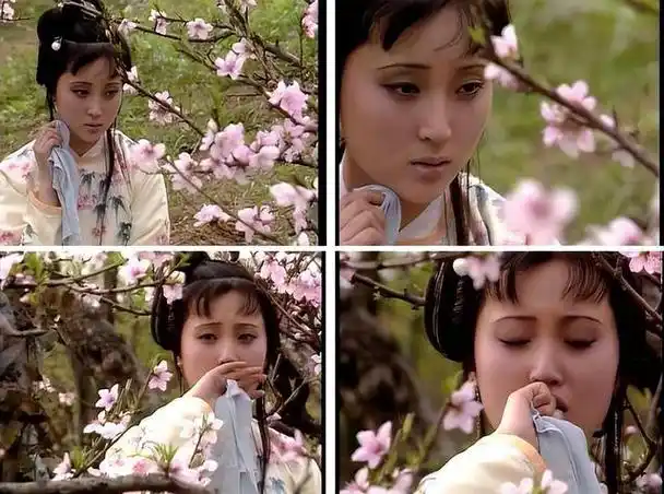 剧里有一个非常著名的场景"黛玉葬花",陈晓旭把林黛玉那种哀愁和凄美