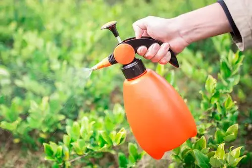 deepbang园艺耐用喷水壶园艺工具小型喷雾器 洒水壶浇花壶气压式浇花