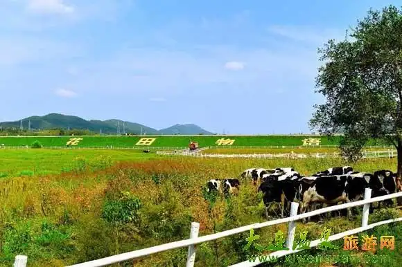 大连瓦房店铭湖国际观光牧场正式营业